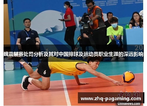 魏震禁赛处罚分析及其对中国排球及运动员职业生涯的深远影响